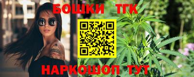 индика Первоуральск
